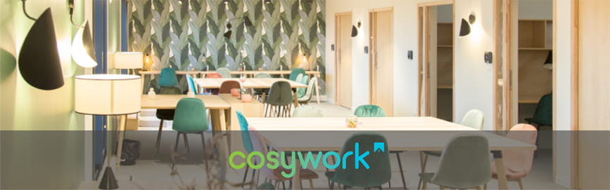 Cosywork : donner une âme à son coworking